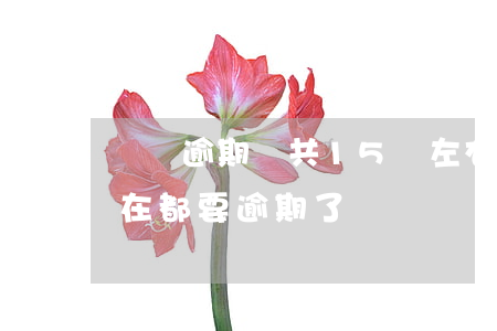 網貸逾期總共15萬左右(網貸欠了16萬現在都要逾期了)