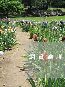 網貸逾期能三個月后還嗎