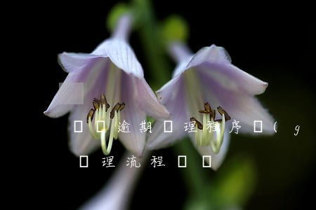 網貸逾期處理程序規(guī)定(網貸逾期處理流程時間)