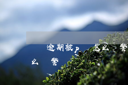 網貸逾期被p圖怎么報警(網貸逾期被p圖怎么報警)