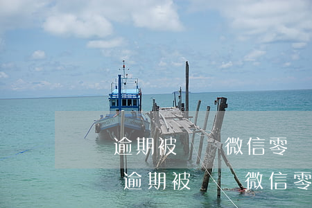 網貸逾期被凍結微信零錢了能不能買醫保-網貸逾期被凍結微信零錢了能不能買醫保呢