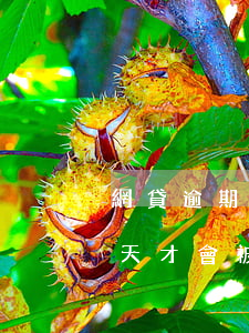 網貸逾期被多長時間會被起訴 網貸逾期多少天才會被起訴了