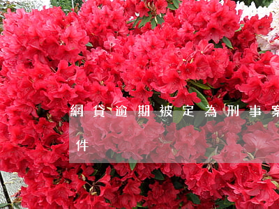 網貸逾期被定為刑事案件(網貸逾期是什么案件)
