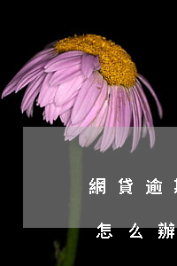 網貸逾期被家里人知道(網貸逾期家人被騷擾怎么辦)