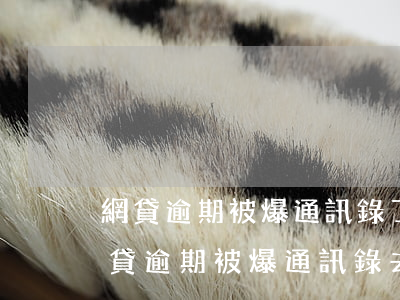 網貸逾期被爆通訊錄了怎么辦怎么投訴-網貸逾期被爆通訊錄去哪里投訴