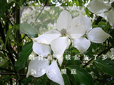 網貸逾期被起訴了多久下判決(網貸逾期被起訴多久開庭)