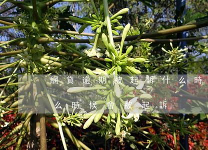 網貸逾期被起訴什么時候失效 網貸逾期了什么時候會被起訴