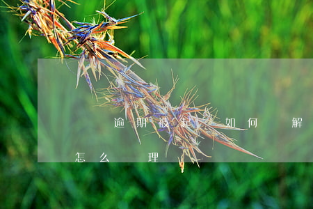 網貸逾期被起訴如何調解(網貸逾期法院起訴怎么處理)