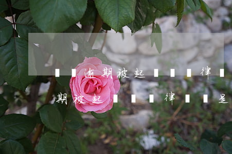 網貸逾期被起訴敗訴律師費是多少-網貸逾期被起訴敗訴律師費是多少錢