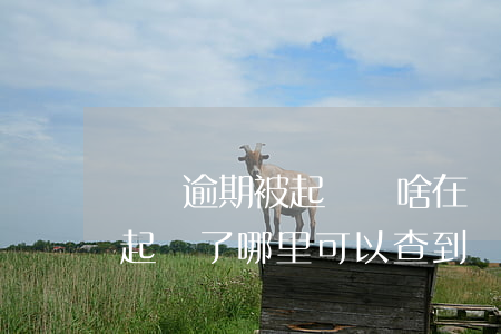 網貸逾期被起訴為啥在網上查不到(欠網貸被起訴了哪里可以查到)