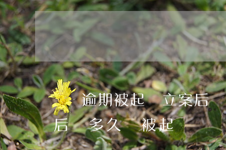 網貸逾期被起訴立案后還款-網貸逾期立案后會多久會被起訴