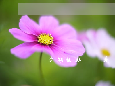 網貸逾期被起訴還是沒錢(網貸逾期會不會起訴)