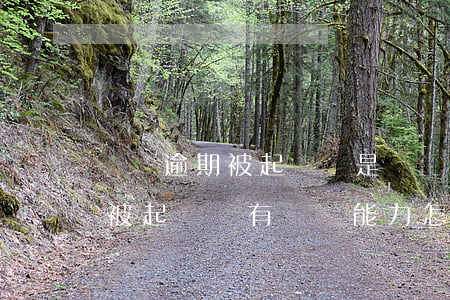 網貸逾期被起訴還是沒錢還怎么辦(網貸逾期被起訴沒有償還能力怎么辦)