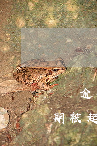 網貸逾期被起訴需要承擔什么費用-網貸逾期被起訴需要承擔什么費用呢