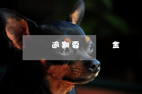 網貸逾期要還滯納金嗎(網貸逾期滯納金收費標準)