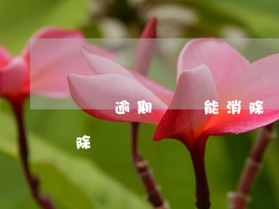 網貸逾期記錄能消除嗎(網貸逾期記錄怎么消除)