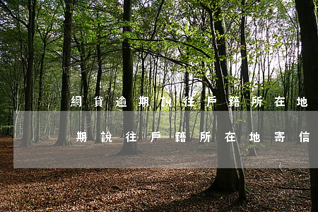 網貸逾期說往戶籍所在地寄信函了-網貸逾期說往戶籍所在地寄信函了是真的嗎
