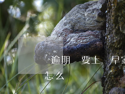 網貸逾期說要上門早家里(網貸逾期了說要上門怎么辦)