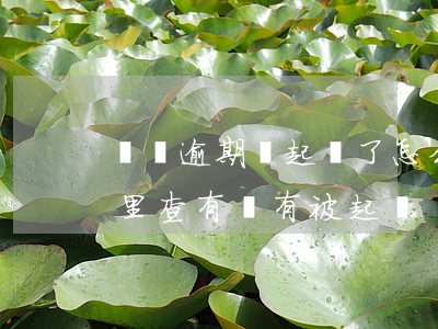 網貸逾期說起訴了怎么查真假(網貸逾期在哪里查有沒有被起訴)