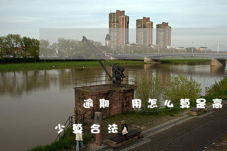 網貸逾期費用怎么算是高(網貸的逾期費用多少算合法)