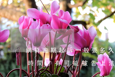 網貸逾期起訴一般要多久開庭(網貸逾期多長時間才有可能被告上法庭)