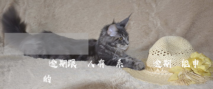 網貸逾期跟別人有關系嗎(網貸逾期還能申請別的嗎)