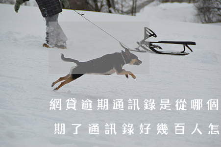 網貸逾期通訊錄是從哪個渠道得來-網貸逾期了通訊錄好幾百人怎么打
