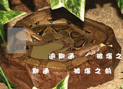 網貸逾期通訊錄被爆之前會提醒嗎-網貸逾期通訊錄被爆之前會提醒嗎怎么辦