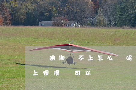 網貸逾期還不上怎么辦呢(網貸逾期以后還不上慢慢還可以嗎)
