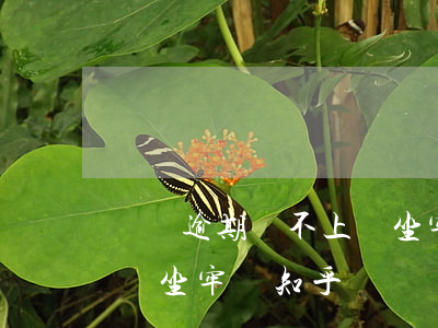 網貸逾期還不上會坐牢嗎-網貸逾期還不上會坐牢嗎知乎