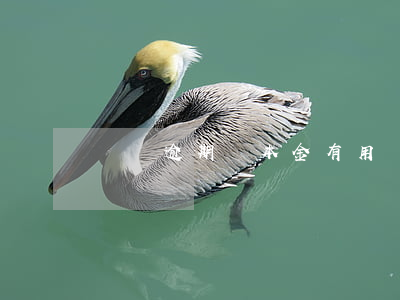 網貸逾期還本金有用嗎(網貸逾期可以還本金嗎)