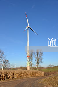 網貸逾期還款怎么申請(網貸逾期還清)