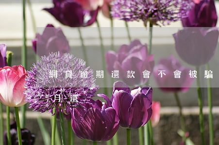 網貸逾期還款會不會被騙(網貸被騙要不要每月還)