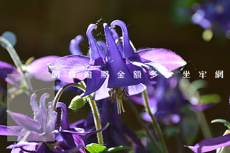 網貸逾期金額多少坐牢(網貸逾期多少會坐牢)