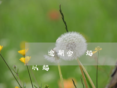 網貸逾期金額起訴標準(網貸逾期多少金額可以起訴)
