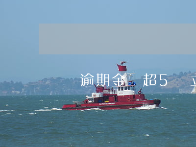 網貸逾期金額超5萬立案(網貸五千逾期半年)