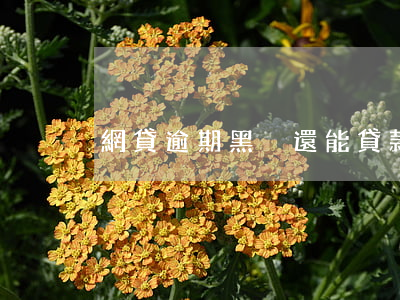 網貸逾期黑戶還能貸款嗎