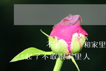 網貸還不上該不該和家里人說-借網貸還不起了不敢跟家里人說