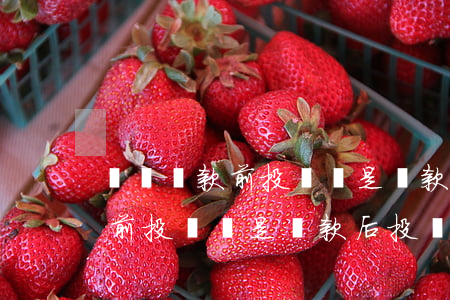 網貸還款前投訴還是還款后投訴-網貸還款前投訴還是還款后投訴好