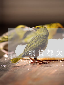 網貸都欠多少(網貸欠幾千)