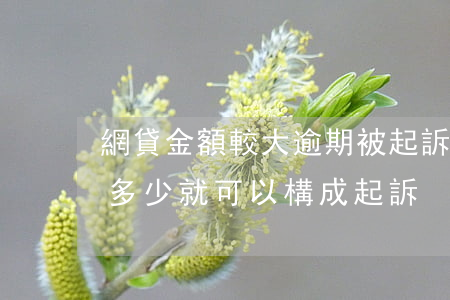 網貸金額較大逾期被起訴(網貸逾期金額達到多少就可以構成起訴)