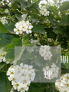 網貸預期被起訴怎么辦(網貸預期被起訴怎么辦理)