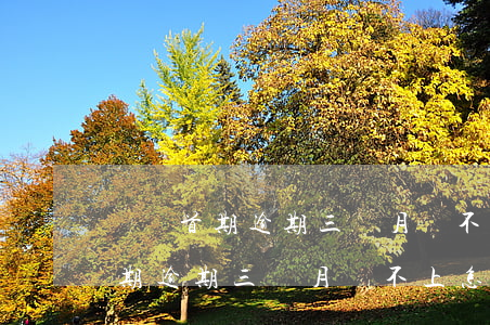 網貸首期逾期三個月還不上怎么辦-網貸首期逾期三個月還不上怎么辦呢