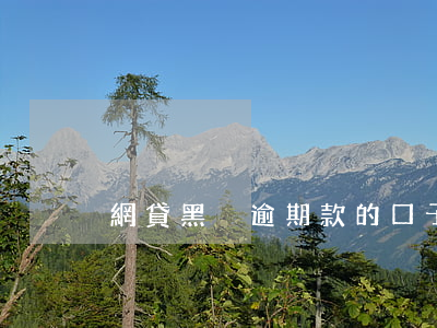 網貸黑戶逾期款的口子(黑戶網貸口子有嗎)