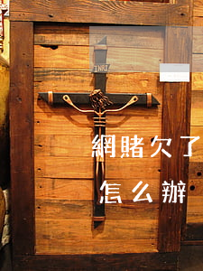網賭欠了1萬多網貸該怎么辦(網賭欠了一萬怎么辦)