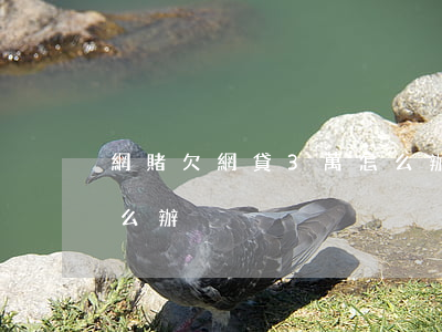 網賭欠網貸3萬怎么辦(網賭欠了三十多萬怎么辦)