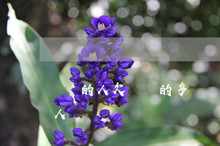 網賭的人欠網貸的多嗎(網賭和網貸害了多少人)
