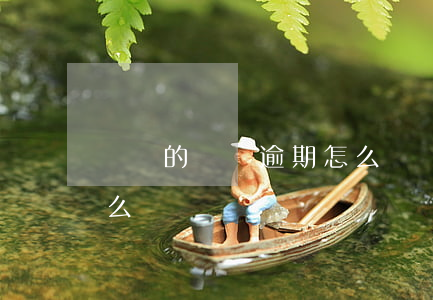 網賭的網貸逾期怎么辦(網賭欠了網貸我該怎么辦)