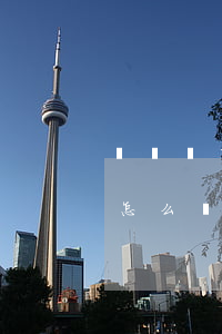 網賭輸了錢欠了網貸(賭博輸錢欠了很多網貸怎么辦)