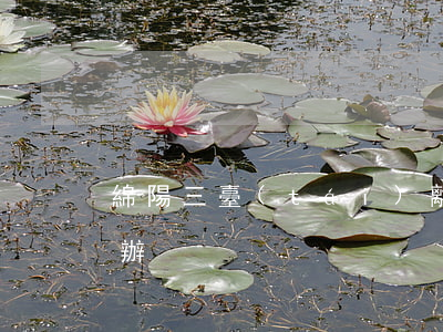 綿陽三臺(tái)離婚后女方的戶籍怎么辦